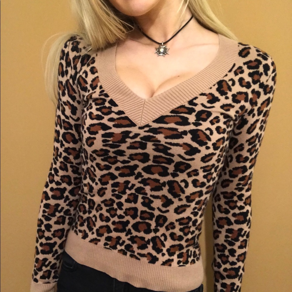 NWOT Express V-neck Cheetah Print Sweater